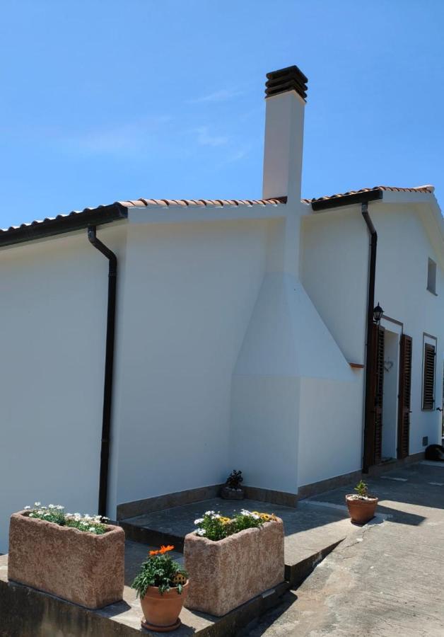 La_Casa_Di_ Willy Villa Canai Exteriör bild